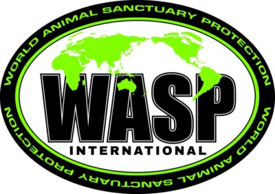 WASP logo2