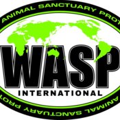 WASP logo2