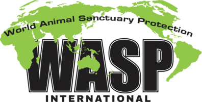 WASP International